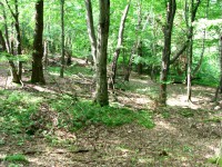 /album/oddech/img-0095-jpg/
